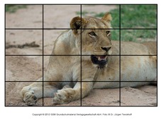 Puzzle-Löwe-3.pdf